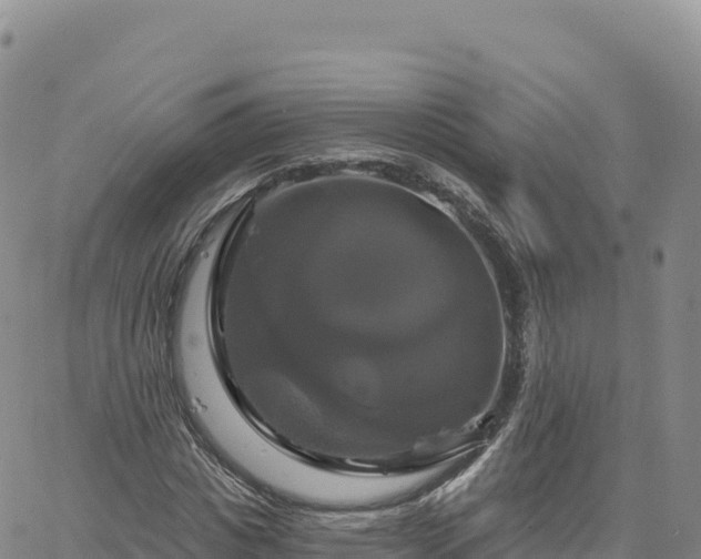 X0000061750825200512091633