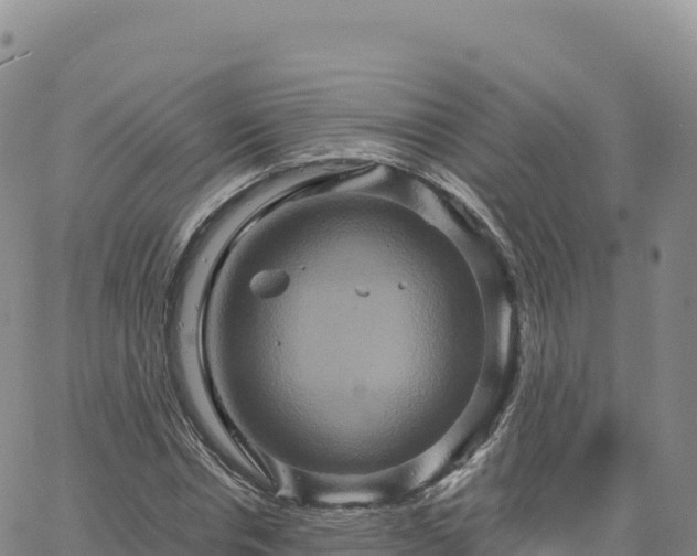 X0000061750826200512091633