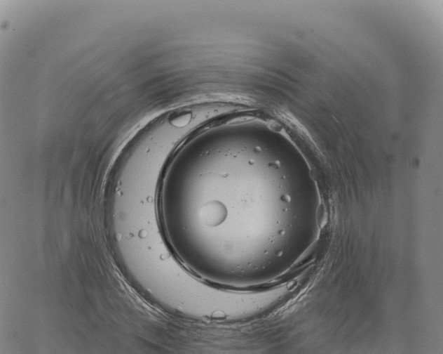 X0000061750828200512091633