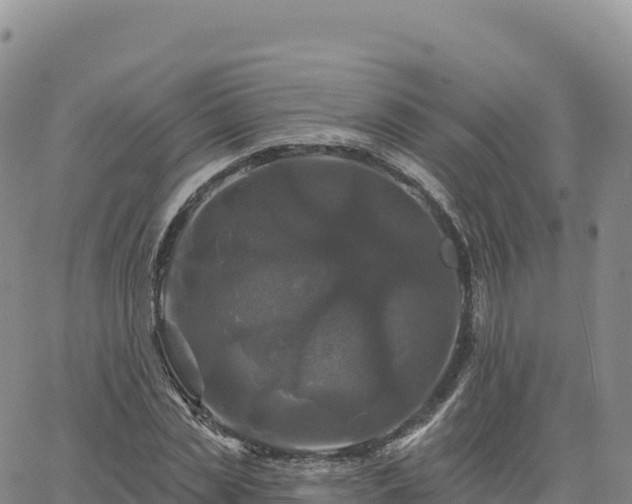 X0000061750829200512091633