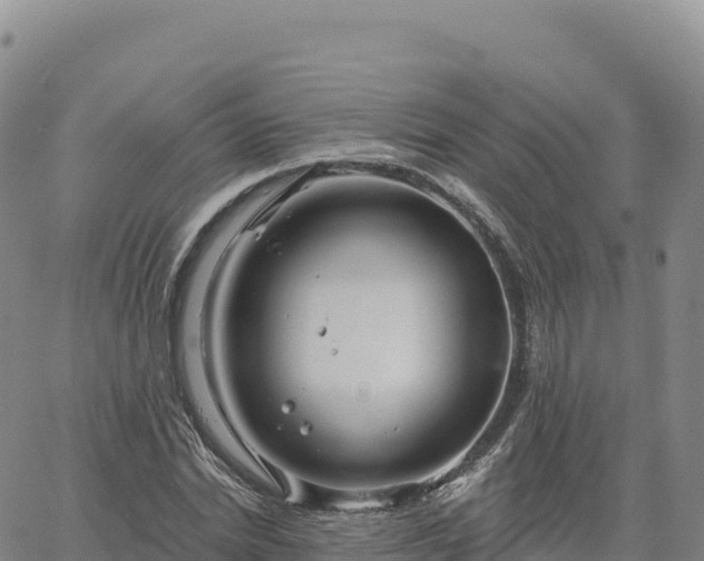 X0000061750830200512091633