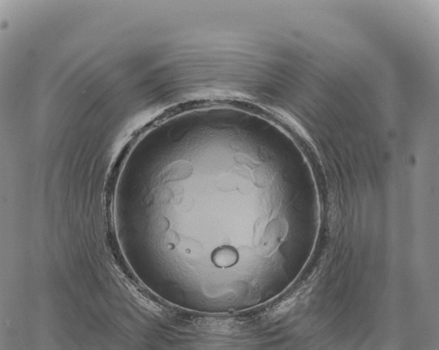 X0000061750831200512091633