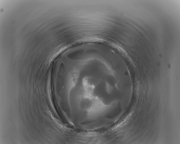 X0000061750833200512091633