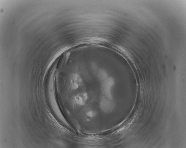 X0000061750835200512091633