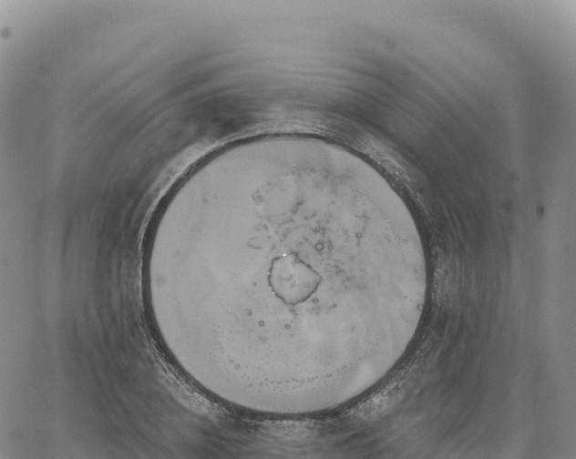 X0000061750836200512091634