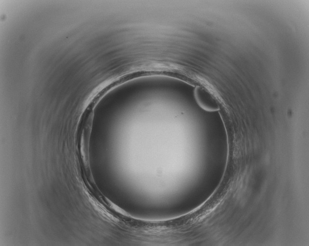 X0000061750837200512091634