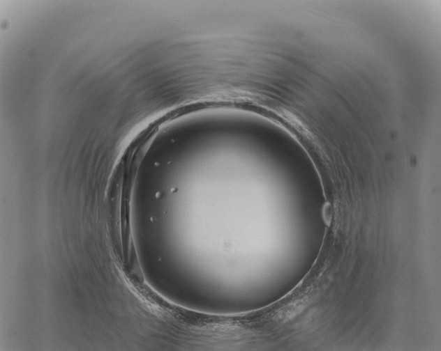 X0000061750838200512091634