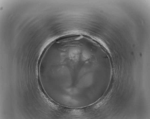 X0000061750839200512091634