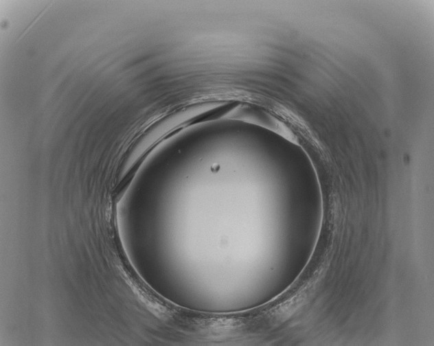 X0000061750841200512091634