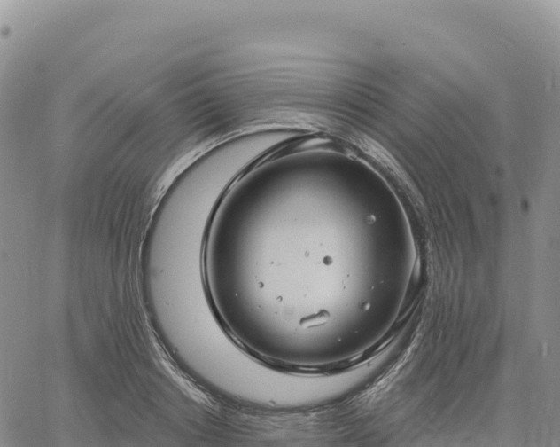 X0000061750842200512091634