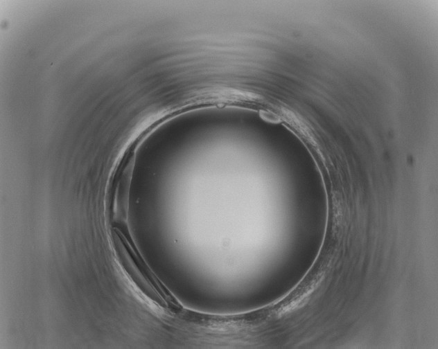 X0000061750843200512091634