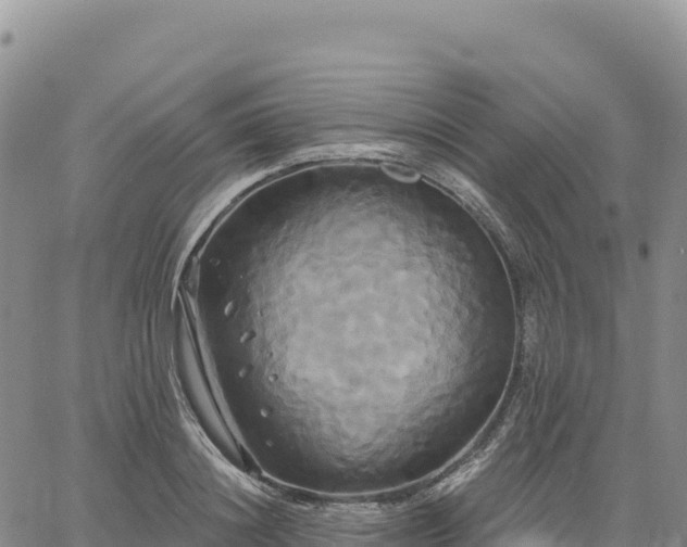 X0000061750844200512091634