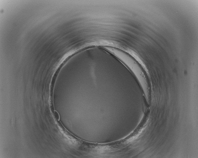 X0000061750845200512091634