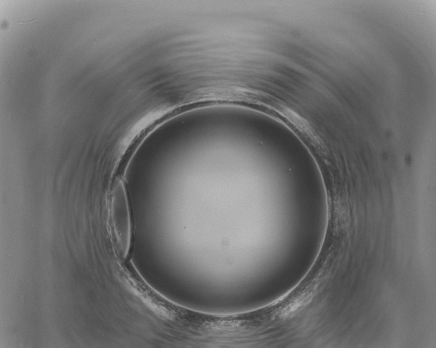 X0000061750846200512091634