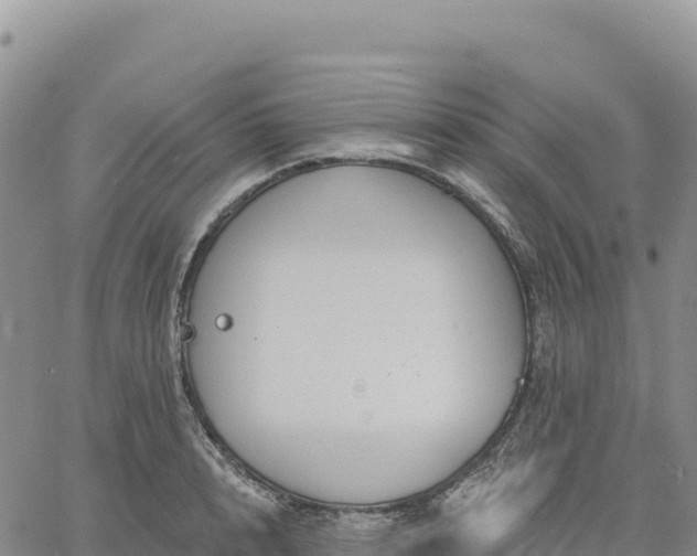 X0000061750848200512091634