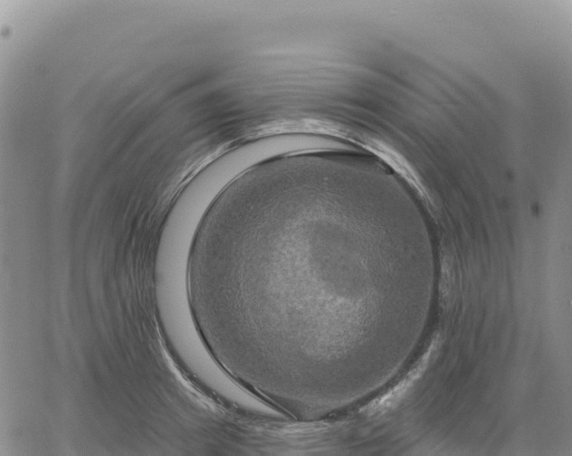 X0000061750849200512091634