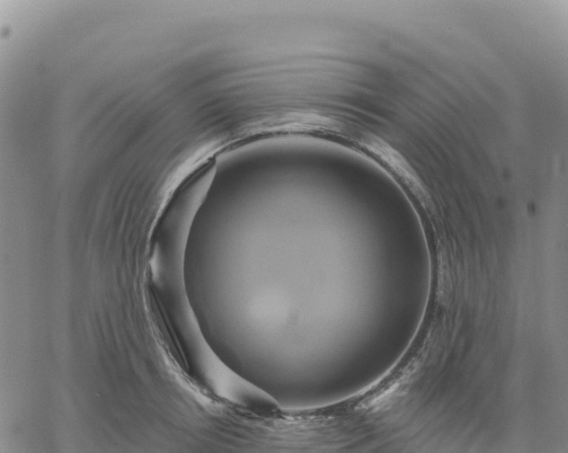 X0000061750850200512091634