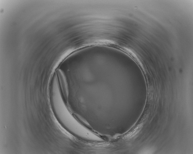 X0000061750851200512091634