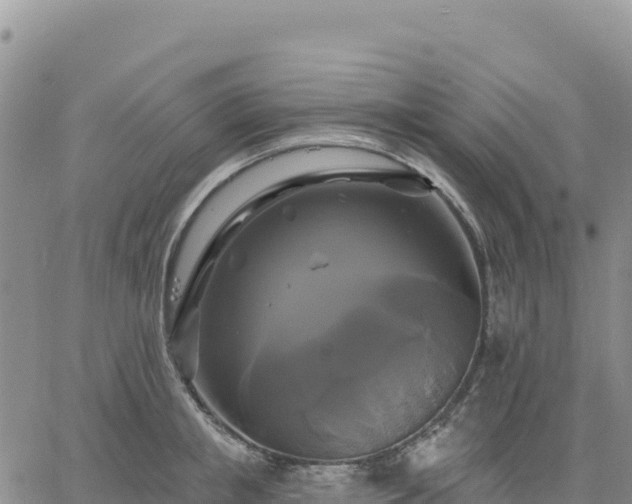 X0000061750853200512091634