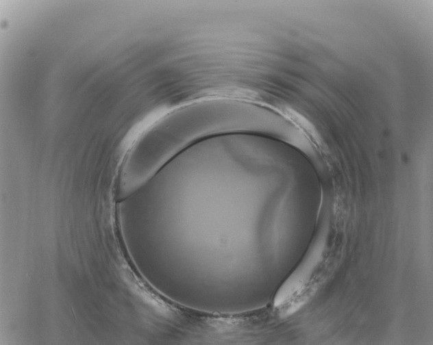 X0000061750854200512091634