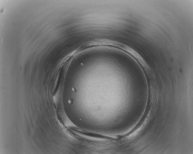 X0000061750857200512091634