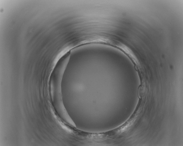 X0000061750858200512091634