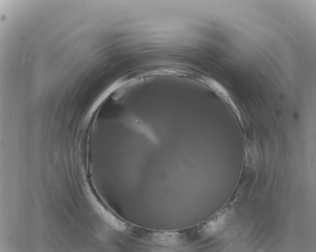 X0000061750859200512091634