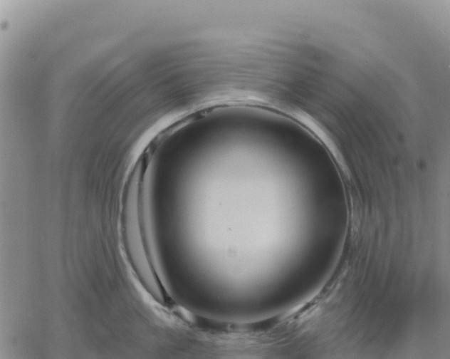 X0000061750861200512091634