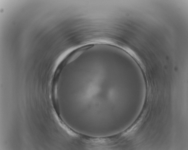 X0000061750862200512091634