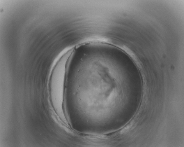 X0000061750864200512091634