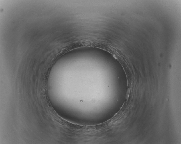 X0000061750865200512091633