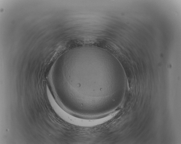 X0000061750866200512091633