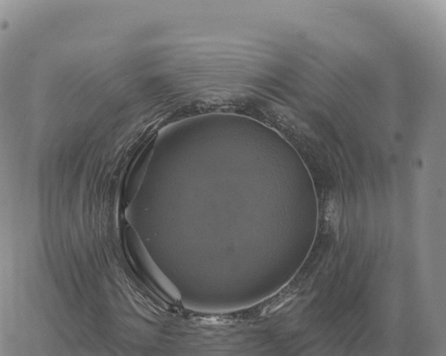 X0000061750868200512091633