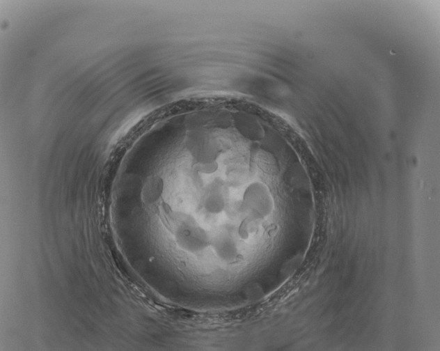 X0000061750871200512091633