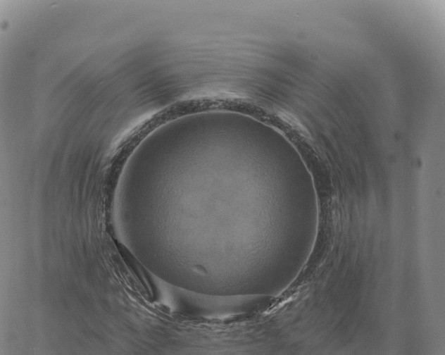 X0000061750872200512091633