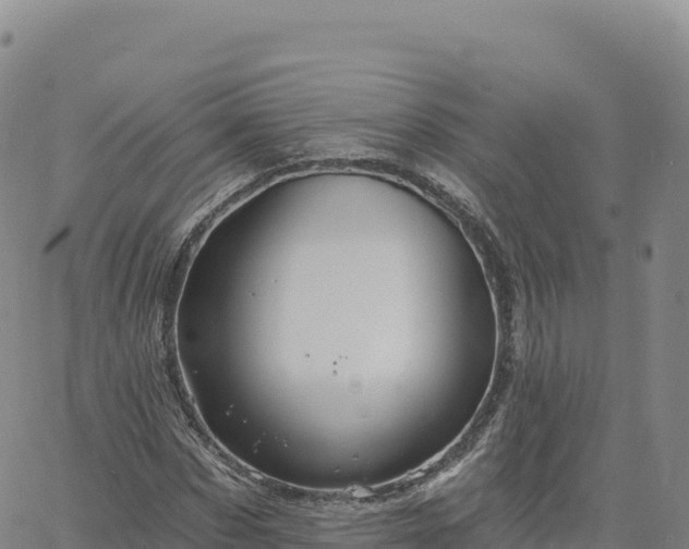 X0000061750873200512091633