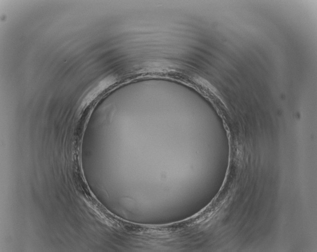 X0000061750874200512091633