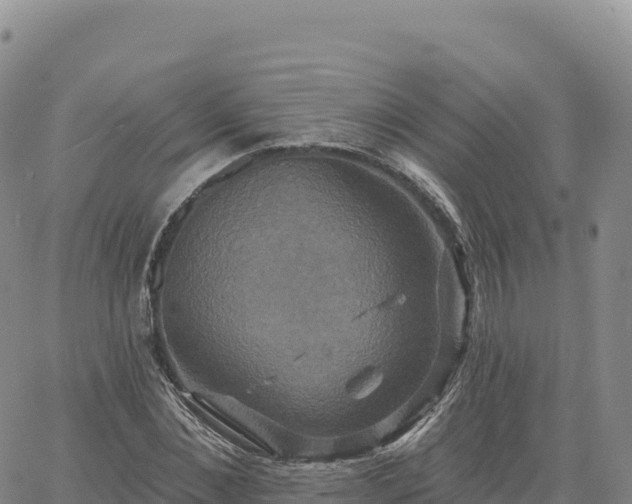 X0000061750876200512091633