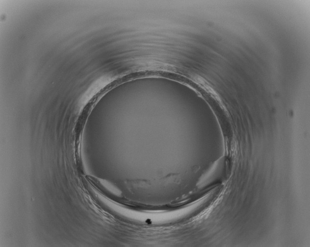 X0000061750877200512091633