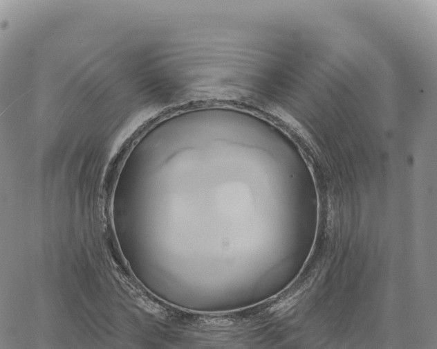 X0000061750878200512091633