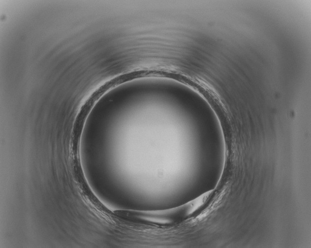 X0000061750880200512091633