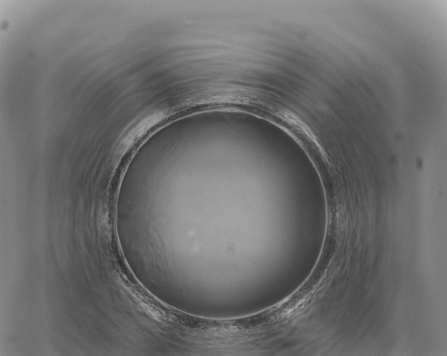 X0000061750882200512091633