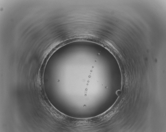 X0000061750883200512091633