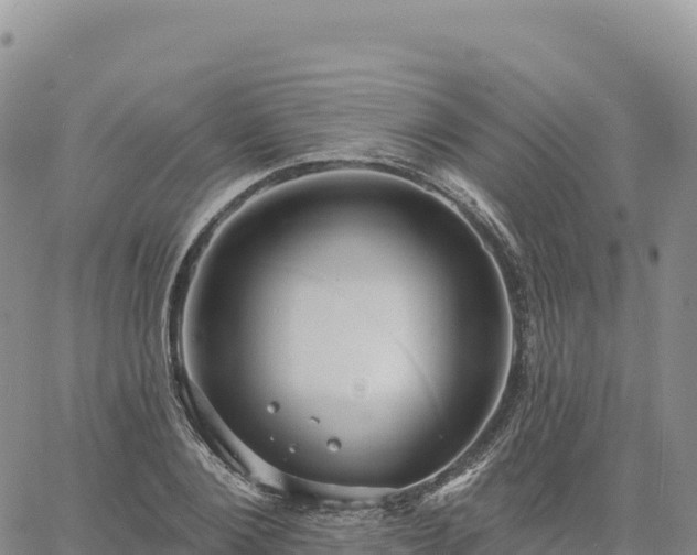 X0000061750884200512091633