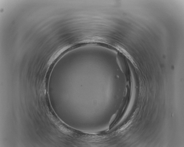 X0000061750885200512091633