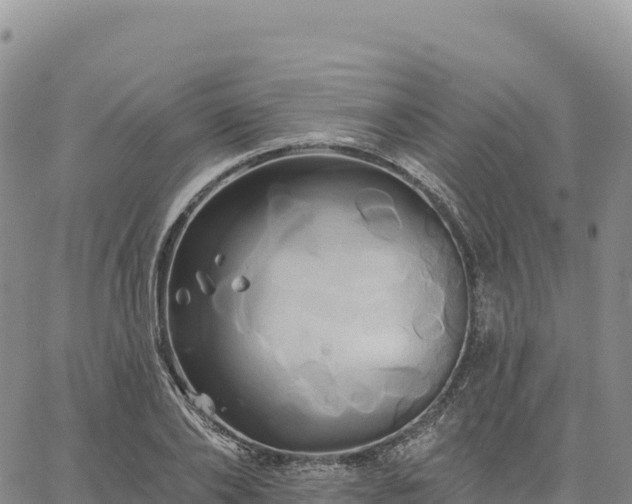 X0000061750886200512091633