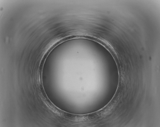 X0000061750887200512091633