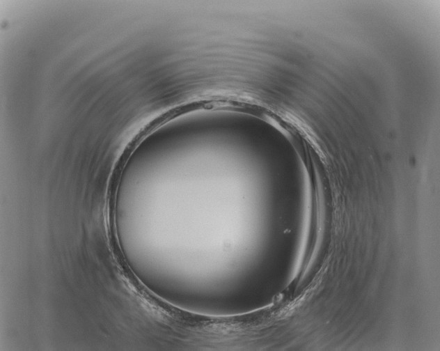 X0000061750888200512091633