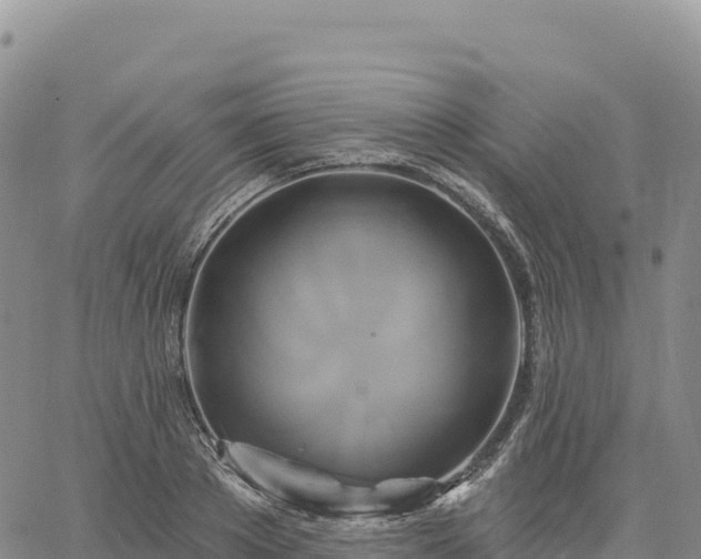 X0000061750889200512091633