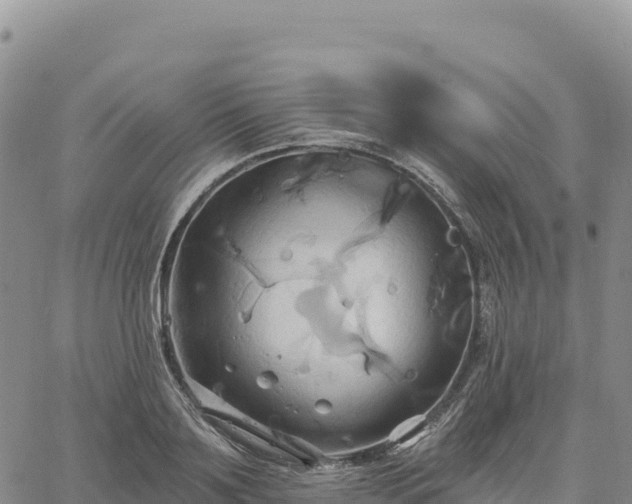 X0000061750891200512091633